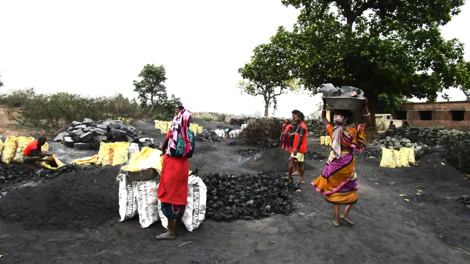 Kasiadih_Families live by scavenging coal burining it into coke and selling the only livelihood left after the beautiful ecology is destroyed